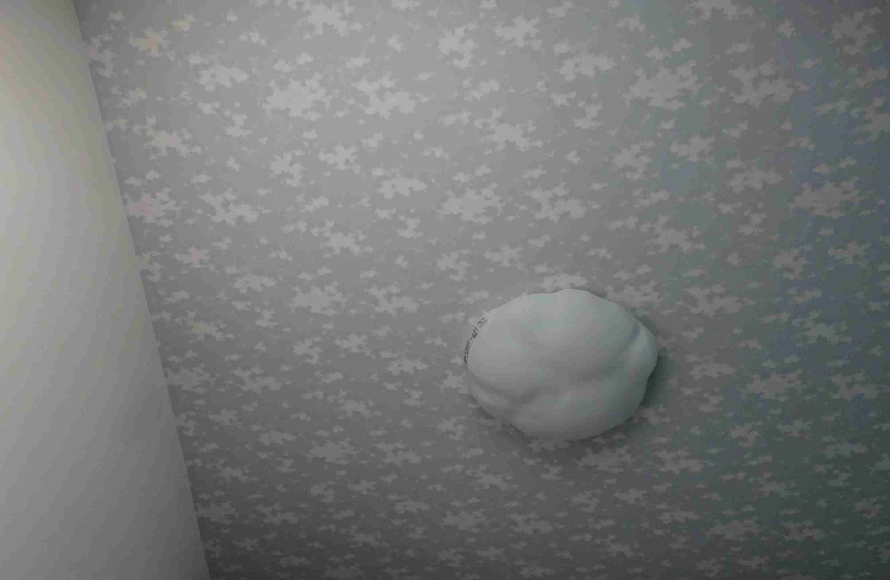 お部屋の天井を見せてください