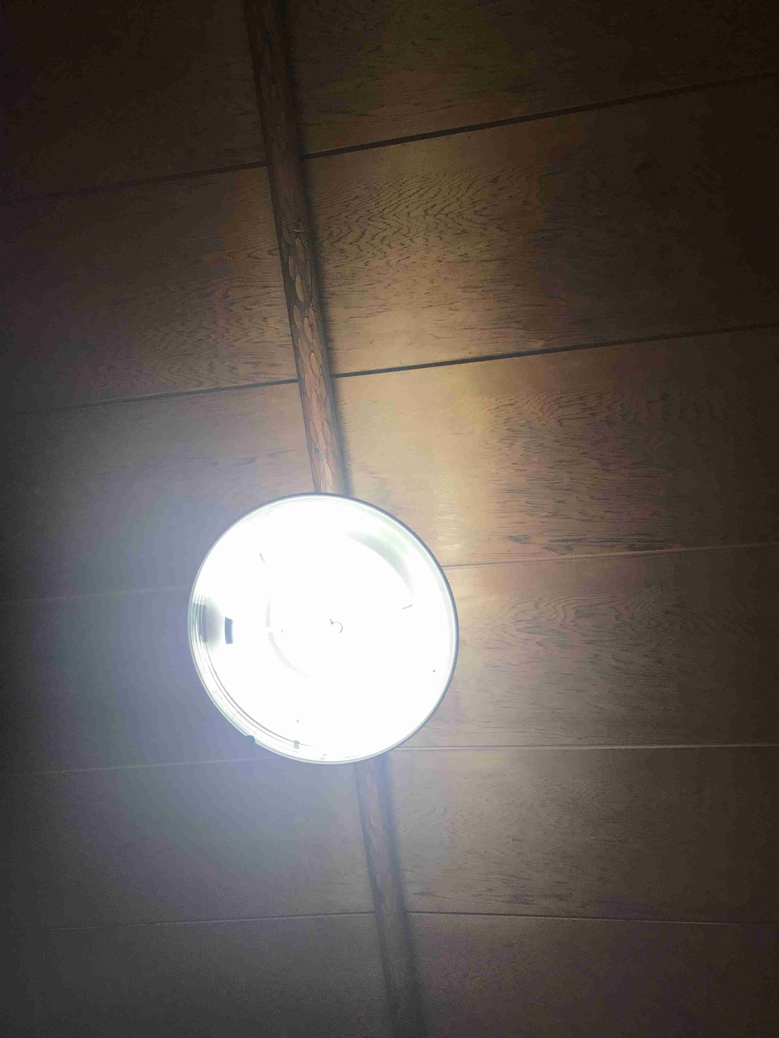 お部屋の天井を見せてください