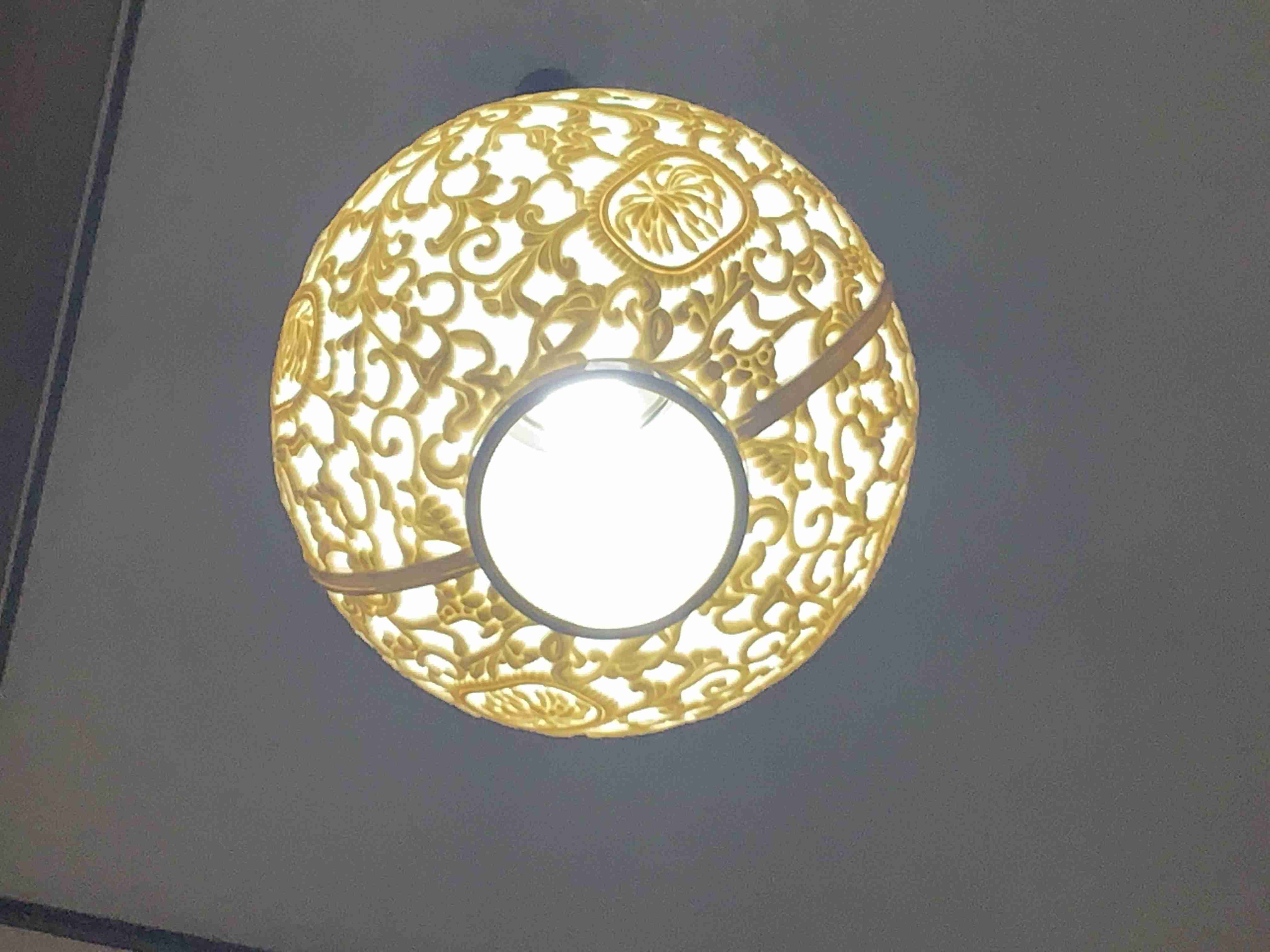 お部屋の天井を見せてください