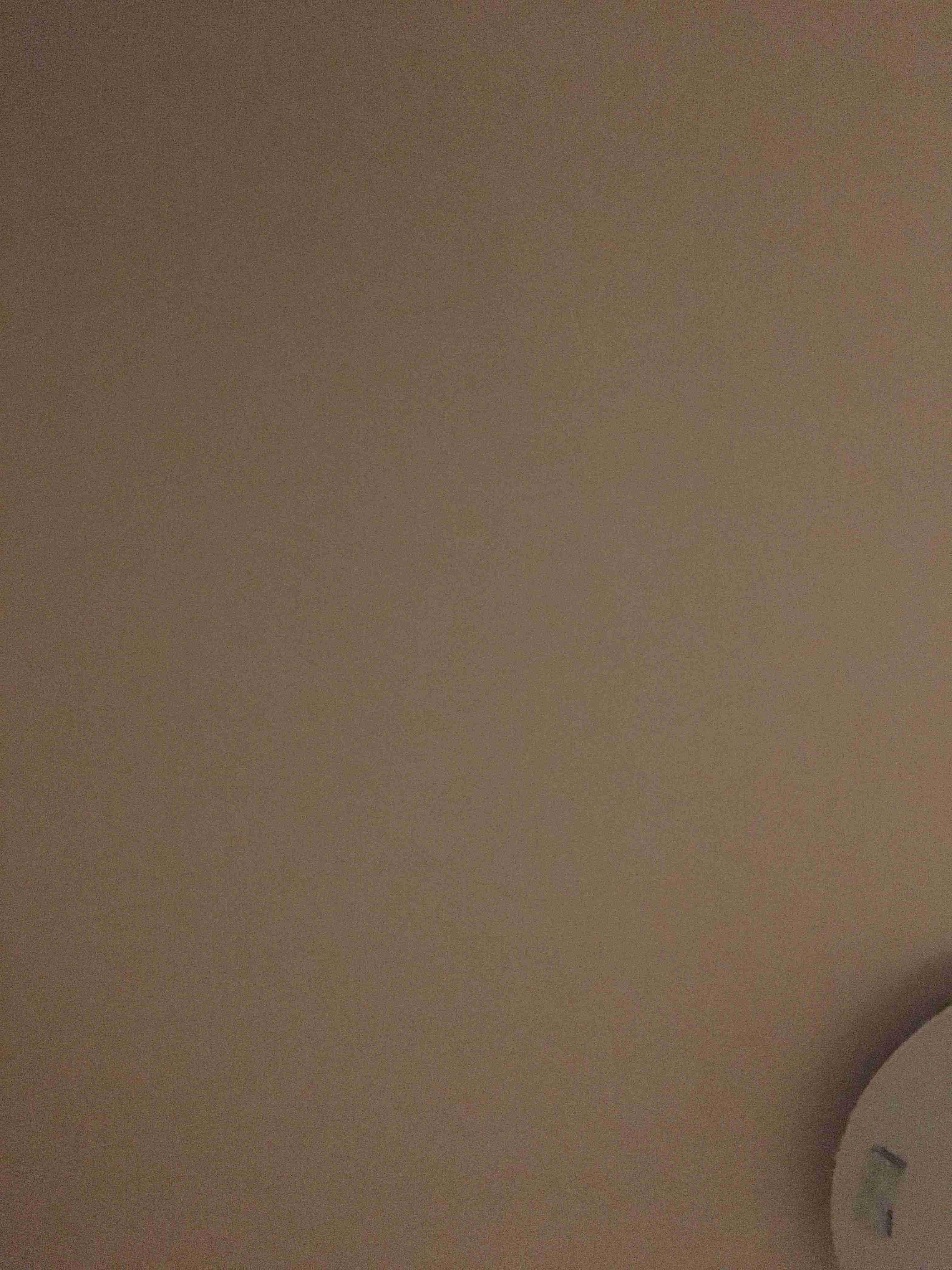 お部屋の天井を見せてください