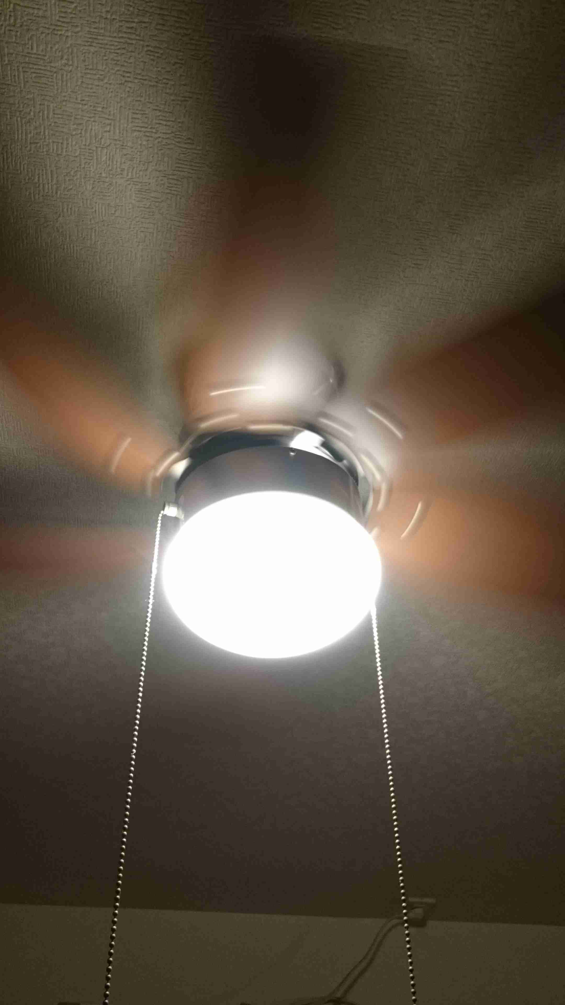 お部屋の天井を見せてください