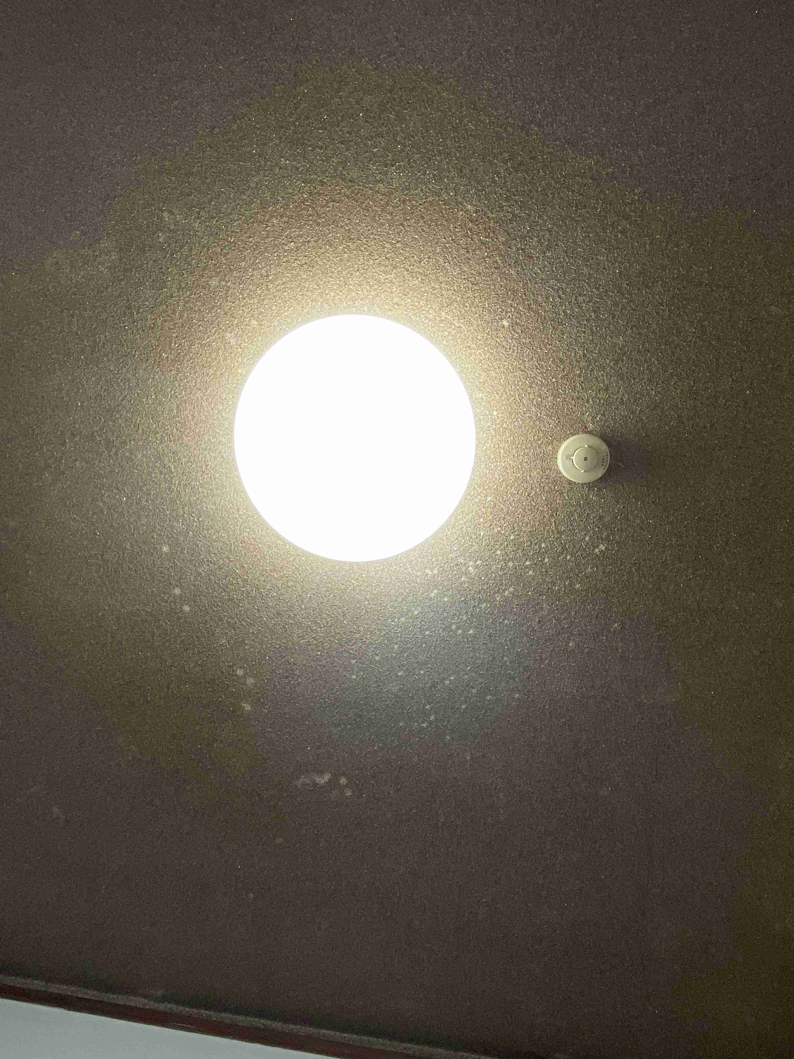 お部屋の天井を見せてください