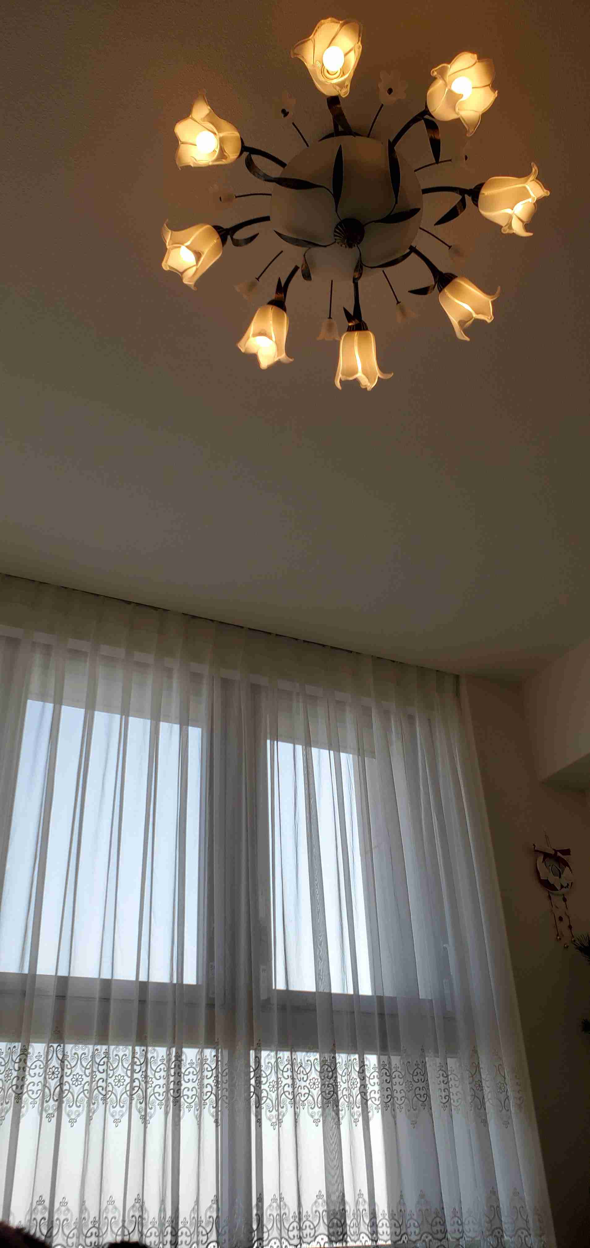 お部屋の天井を見せてください