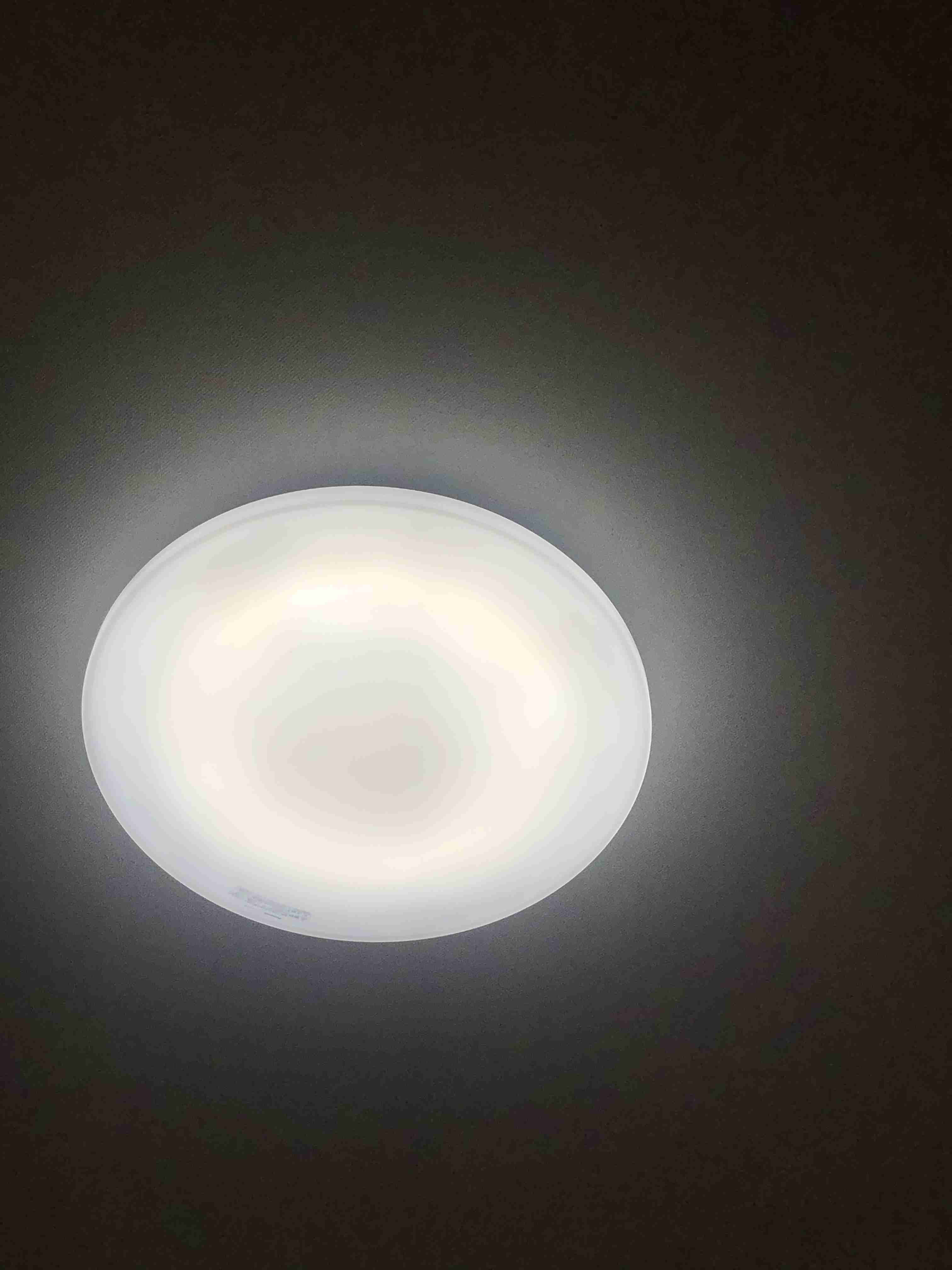 お部屋の天井を見せてください