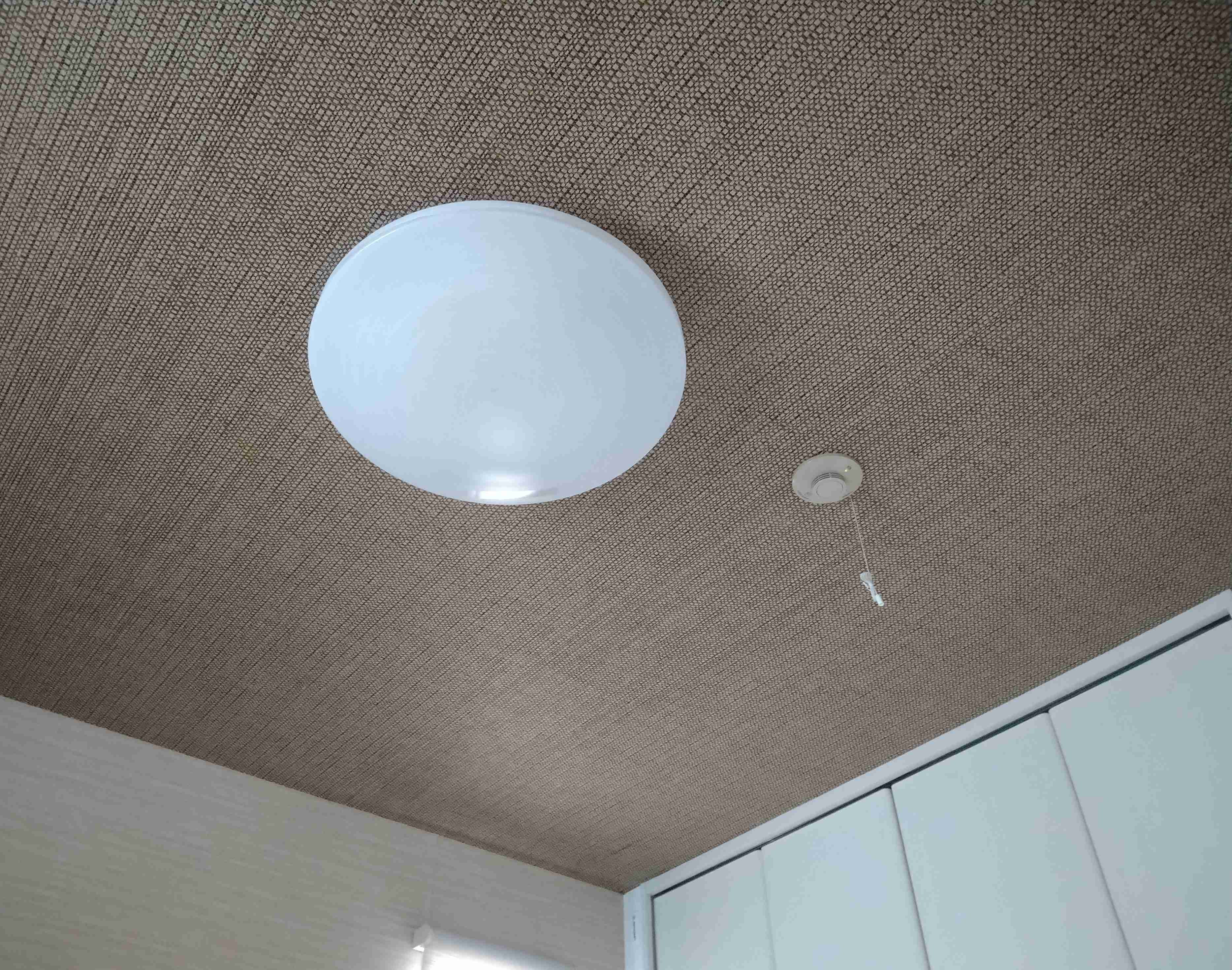 お部屋の天井を見せてください