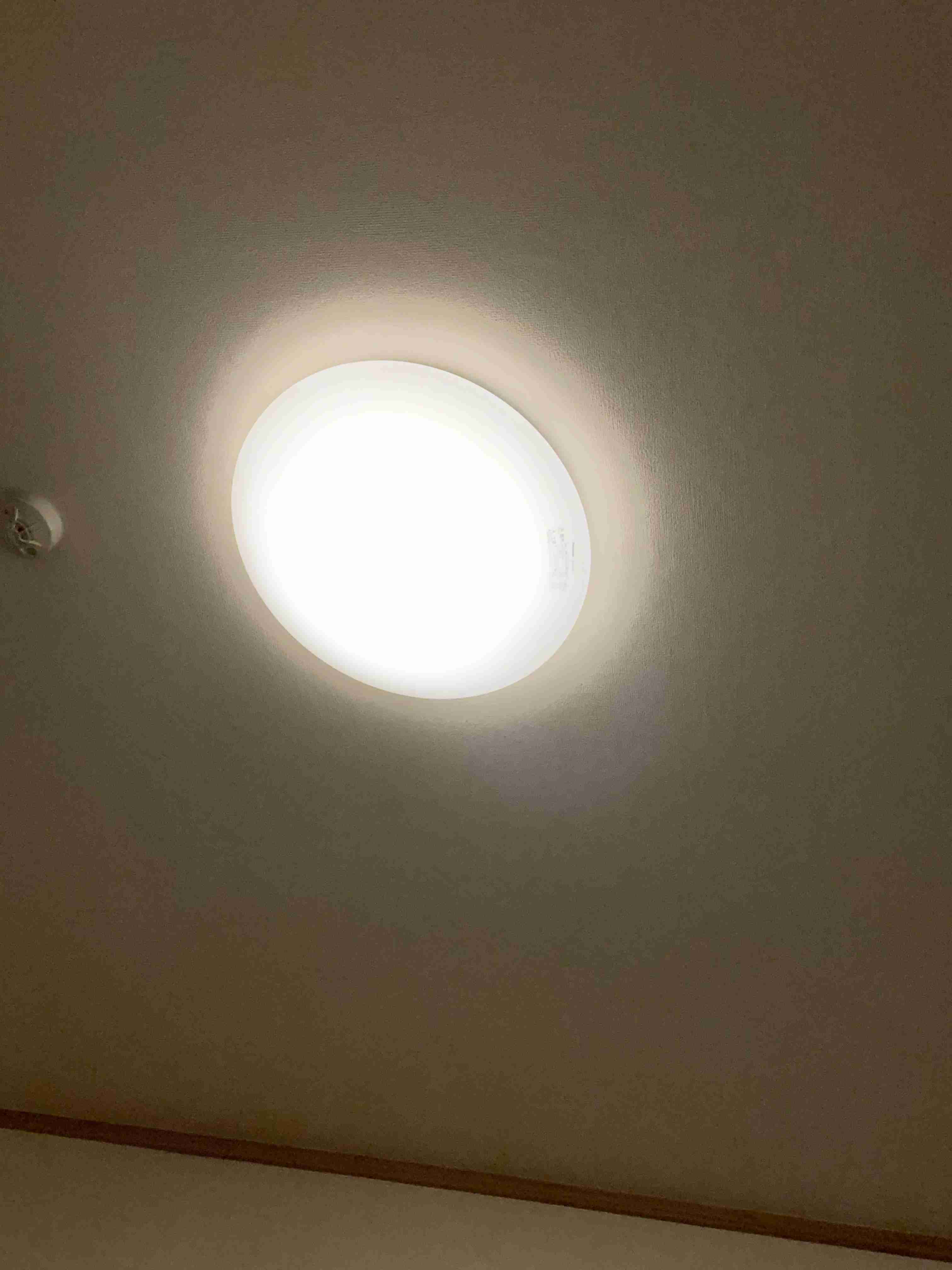 お部屋の天井を見せてください