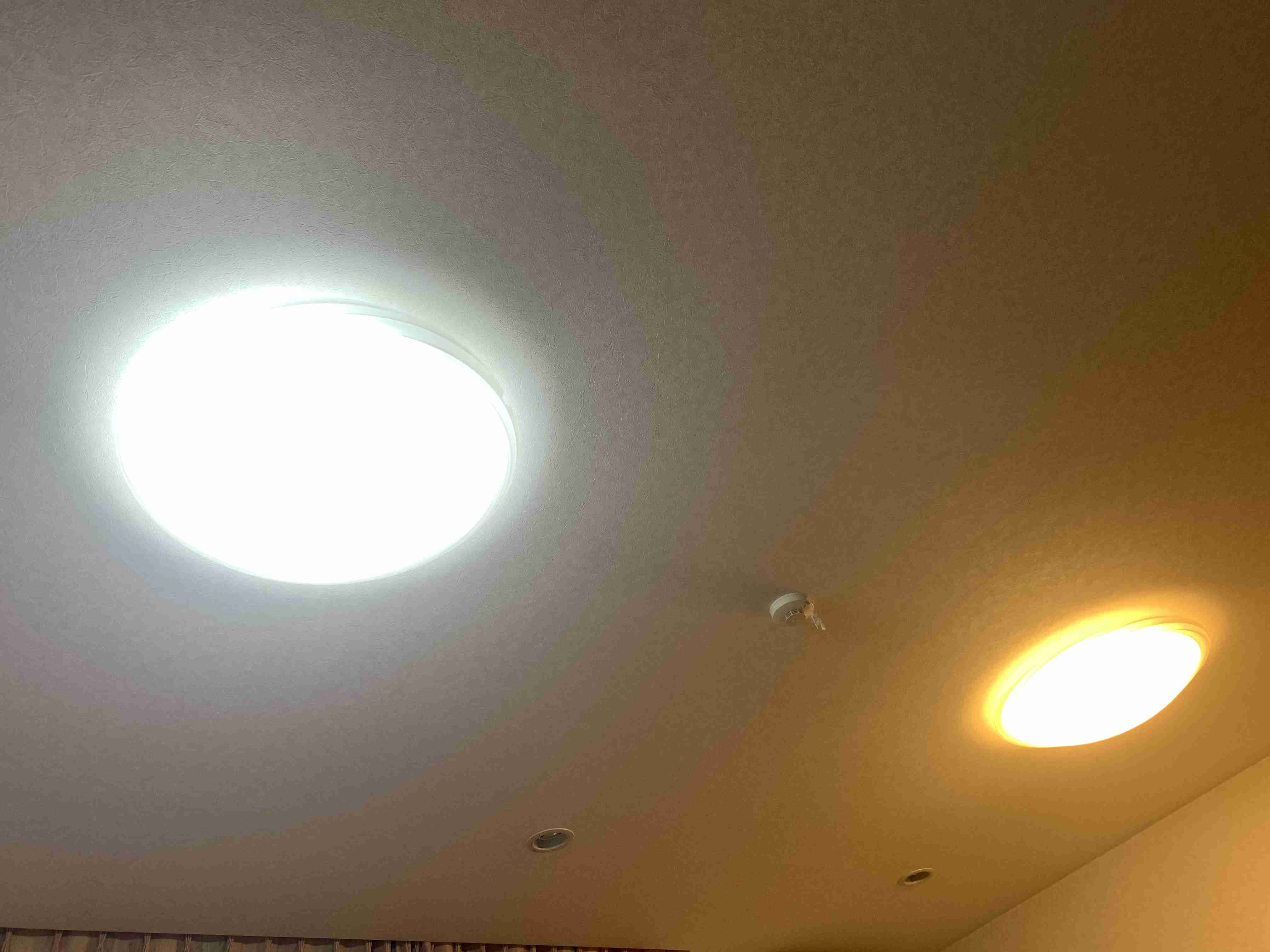 お部屋の天井を見せてください