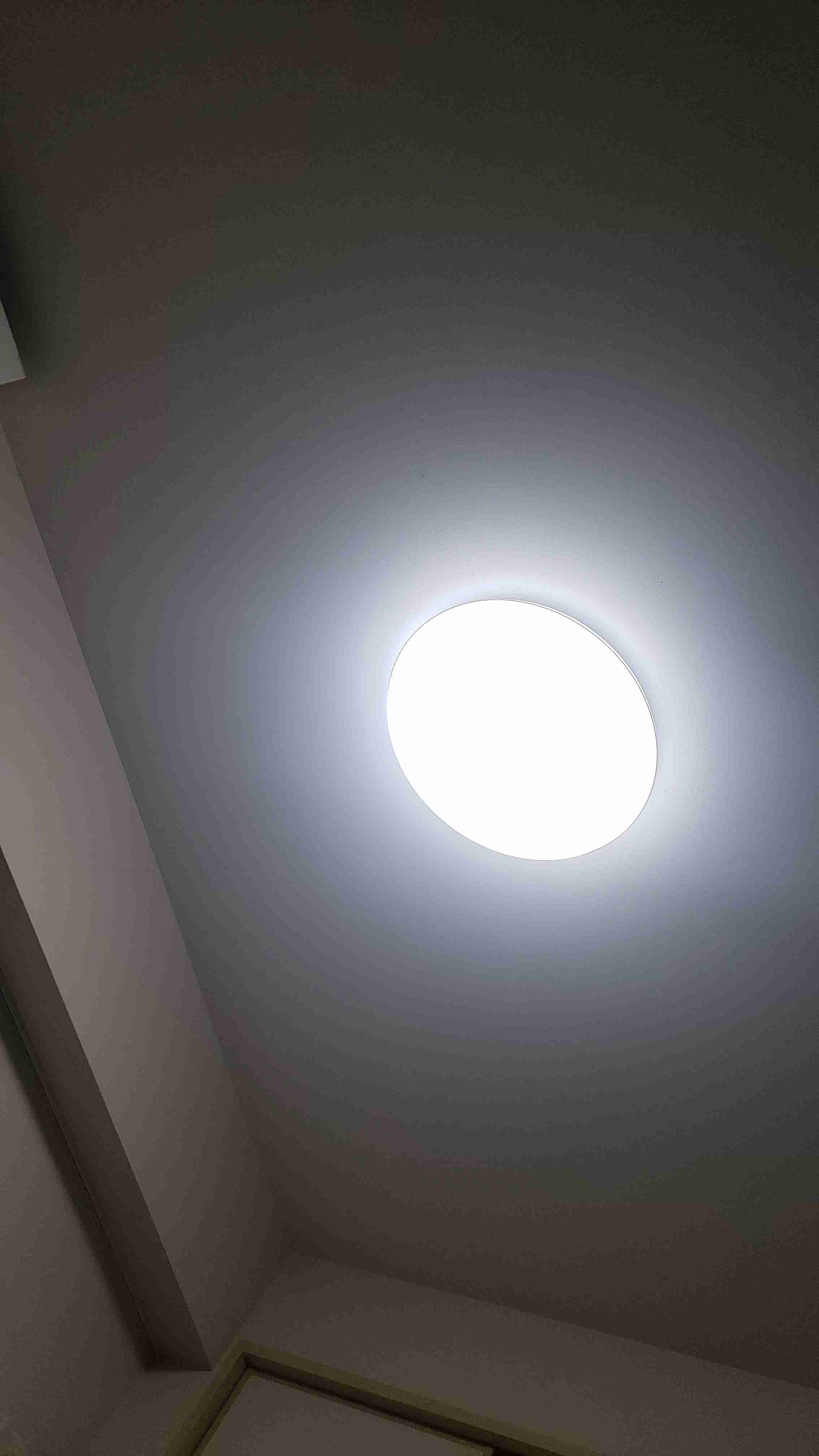 お部屋の天井を見せてください