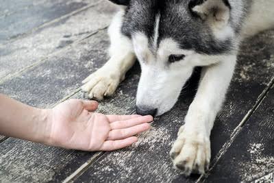 今手のひらの匂い嗅いでみて！何の匂いする？？