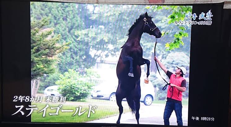 本当は人だよねと思う画像を貼るトピpart2