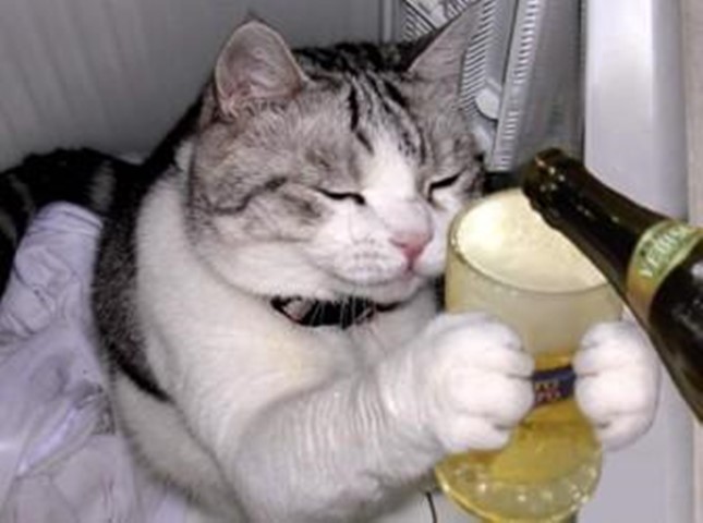 本当は人だよねと思う画像を貼るトピpart2