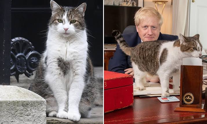 コロナで都市封鎖中…英ジョンソン首相サイクリングに批判