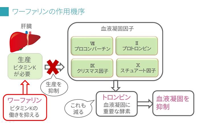 新型コロナ 自宅療養の男性死亡 予定では翌日に療養解除 東京