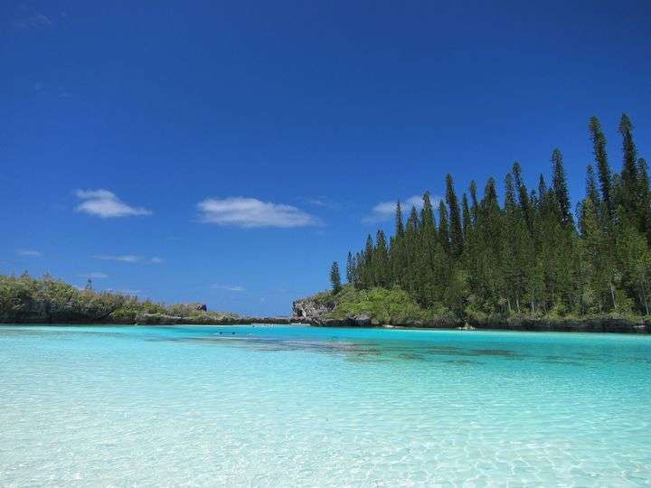 新婚旅行行きましたか？