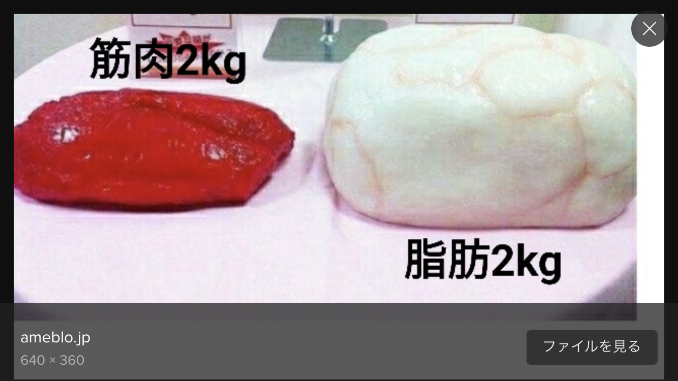短期集中ダイエット