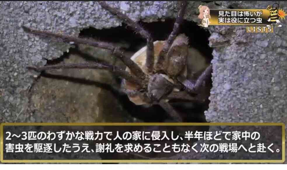 ガルちゃんで心に響いた言葉ありますか？