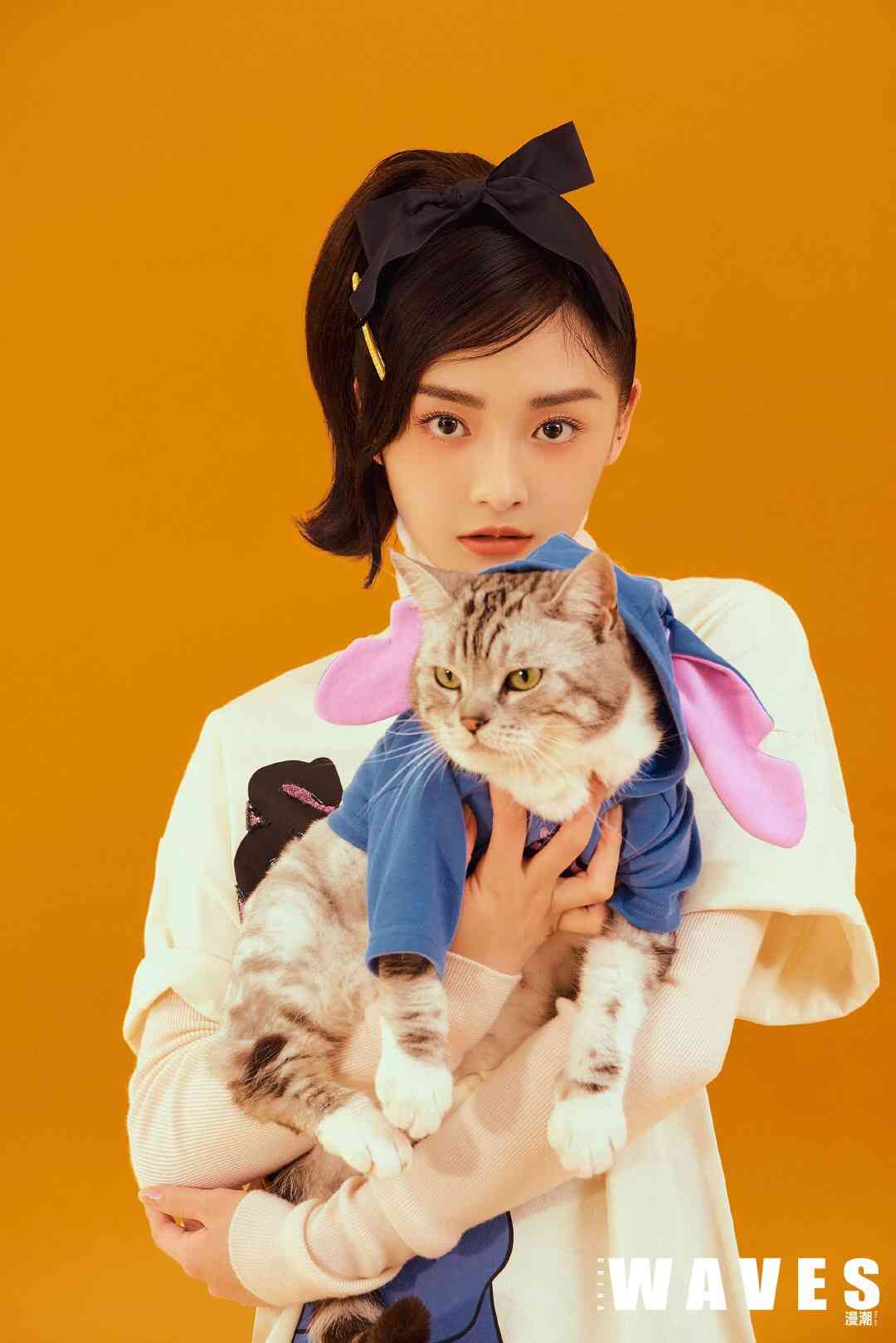 どの猫種が好きですかPart2