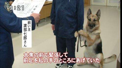一番かわいい画像を貼った人が優勝