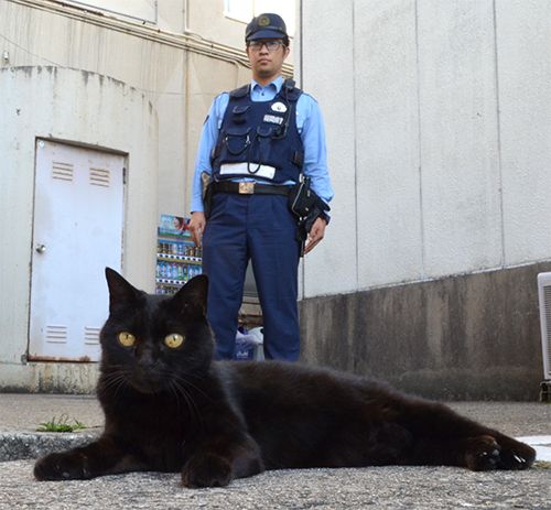 一番かわいい画像を貼った人が優勝