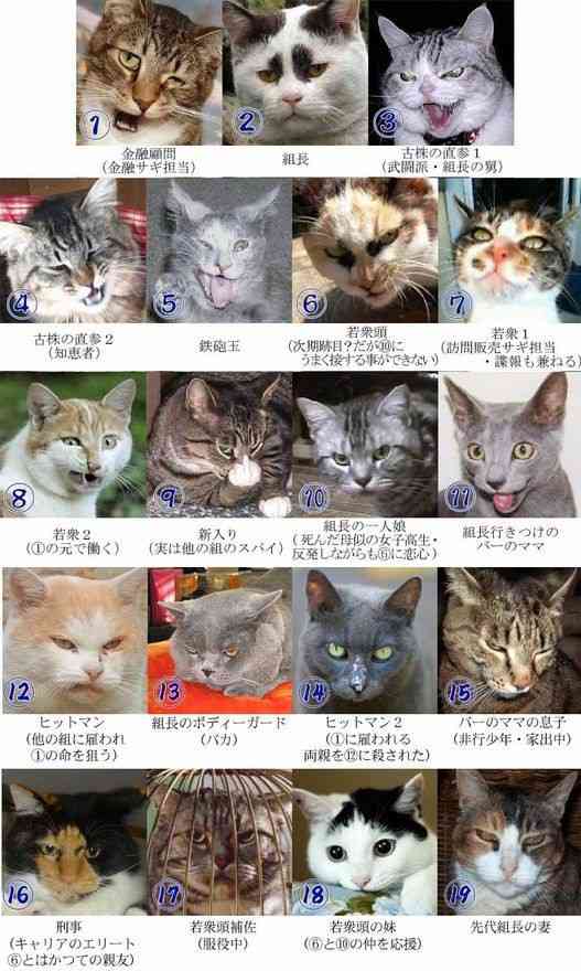 一番かわいい画像を貼った人が優勝