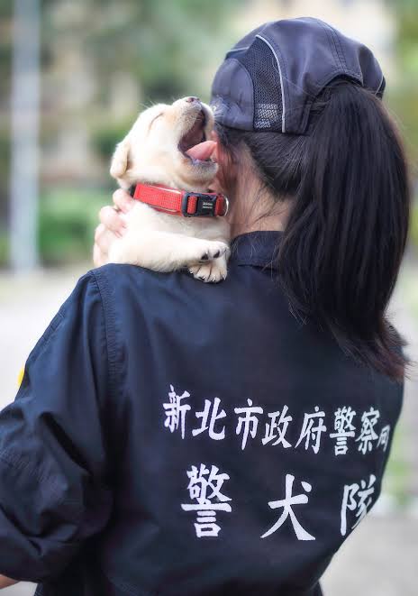 一番かわいい画像を貼った人が優勝