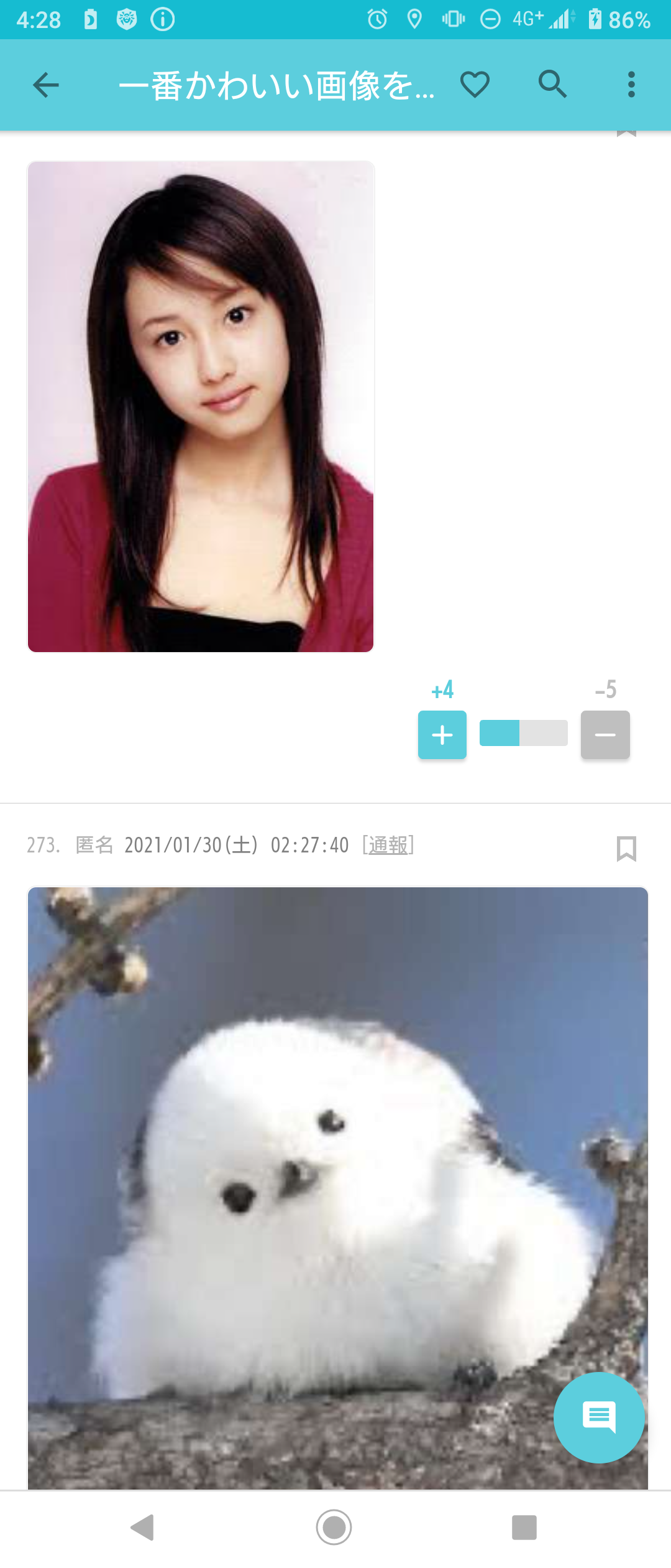 一番かわいい画像を貼った人が優勝