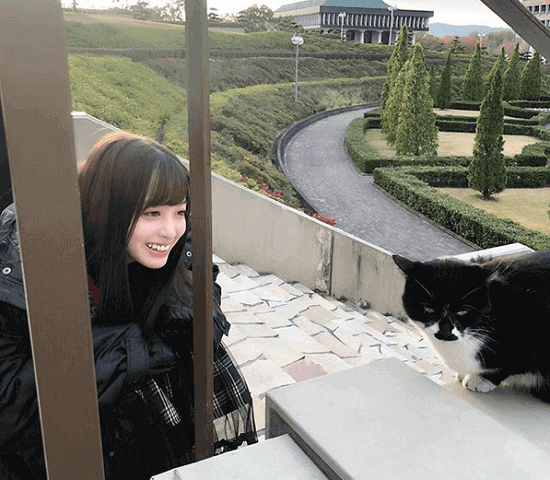 一番かわいい画像を貼った人が優勝