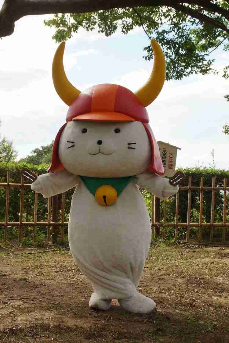 一番かわいい画像を貼った人が優勝