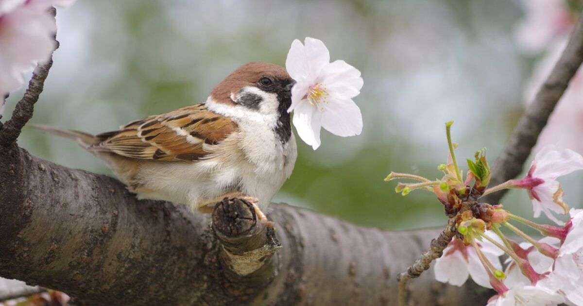 一番かわいい画像を貼った人が優勝
