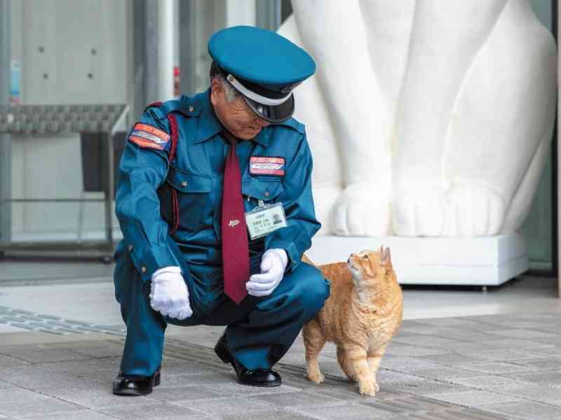 一番かわいい画像を貼った人が優勝