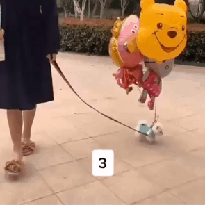 一番かわいい画像を貼った人が優勝