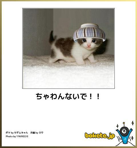 一番かわいい画像を貼った人が優勝