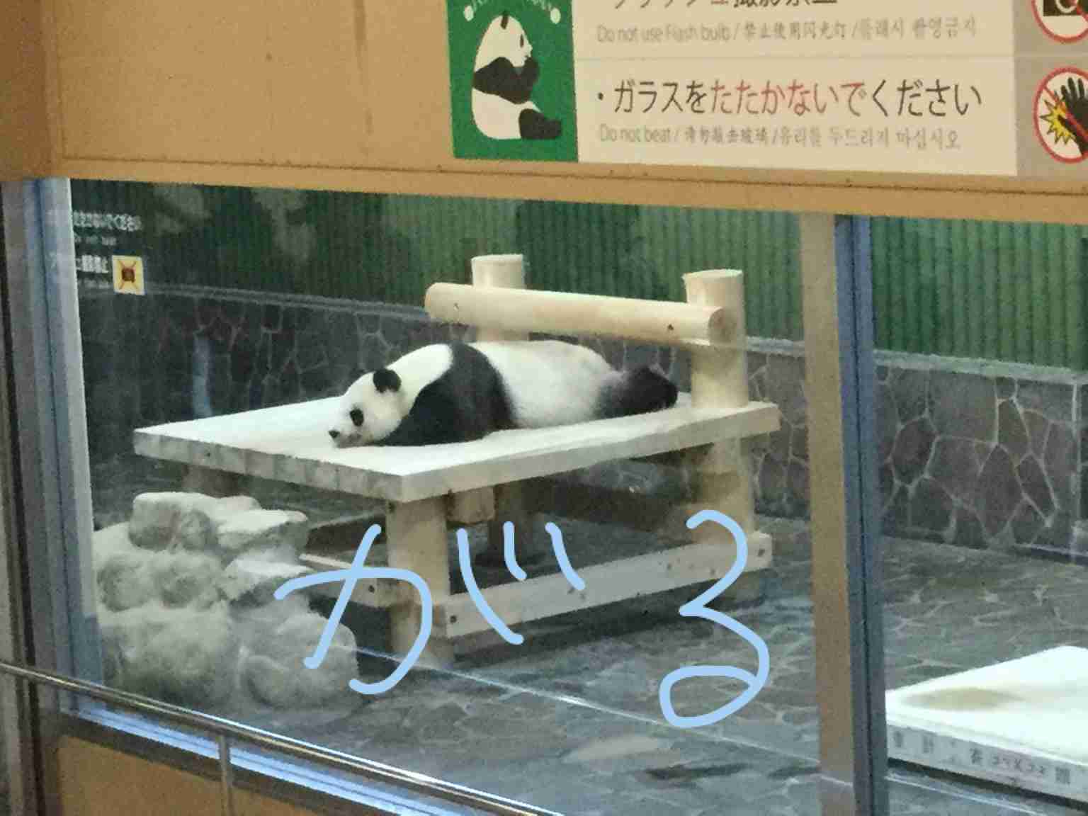 一番かわいい画像を貼った人が優勝