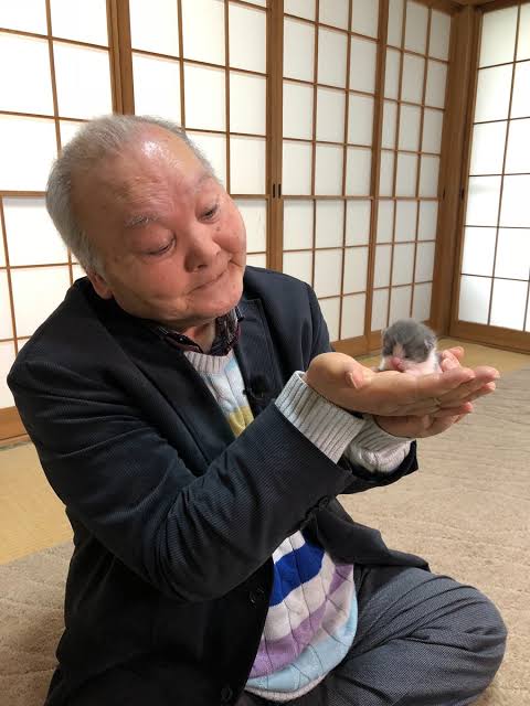 一番かわいい画像を貼った人が優勝