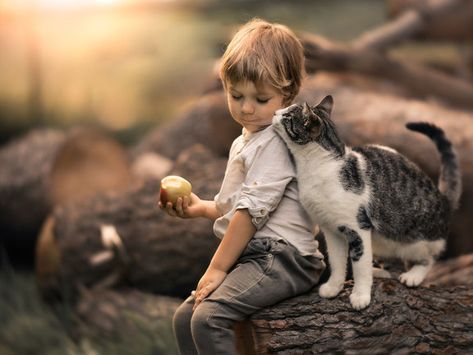 一番かわいい画像を貼った人が優勝