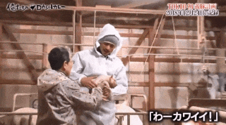 一番かわいい画像を貼った人が優勝