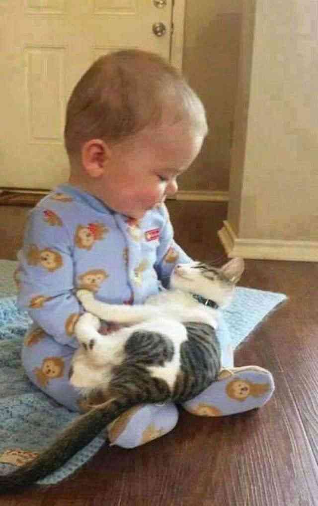 一番かわいい画像を貼った人が優勝