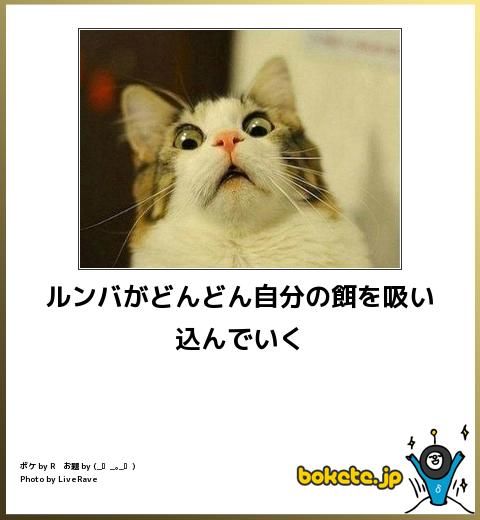 一番かわいい画像を貼った人が優勝