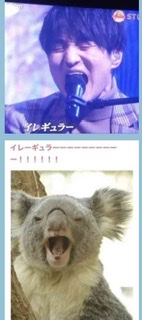 一番かわいい画像を貼った人が優勝