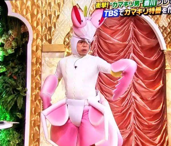 【閲覧注意】不思議・奇妙な昆虫が集まるトピ