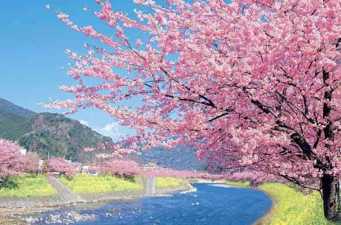 春っぽい画像を貼って春を待つ