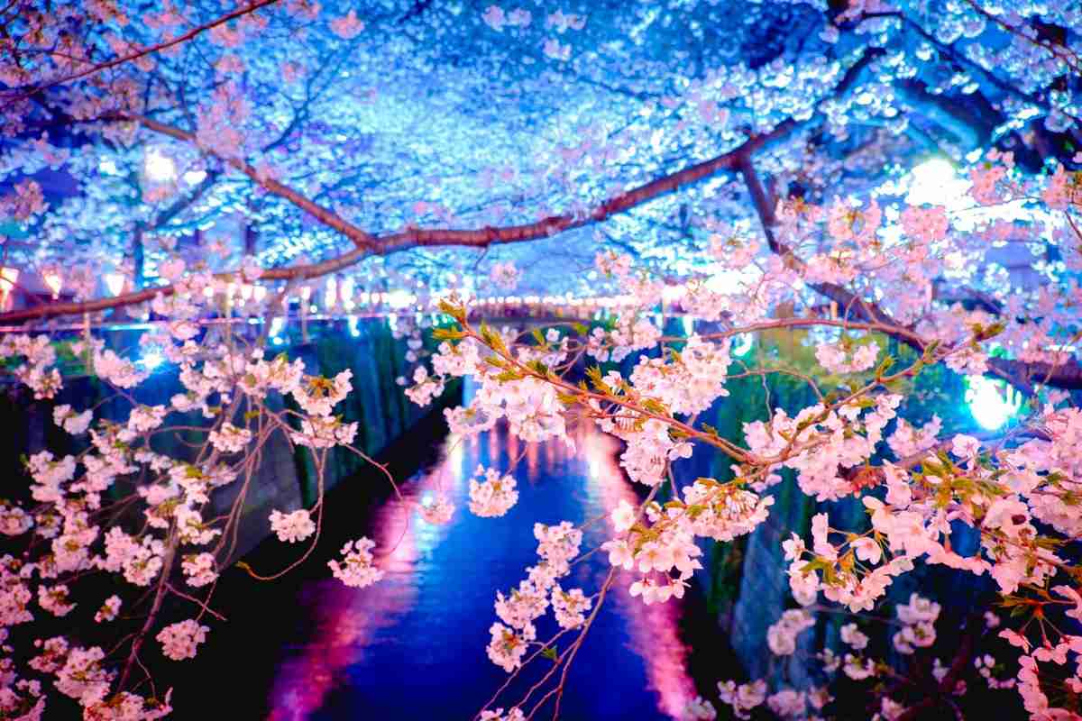 春っぽい画像を貼って春を待つ