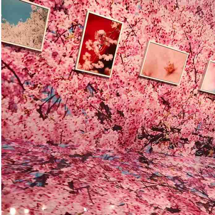春っぽい画像を貼って春を待つ