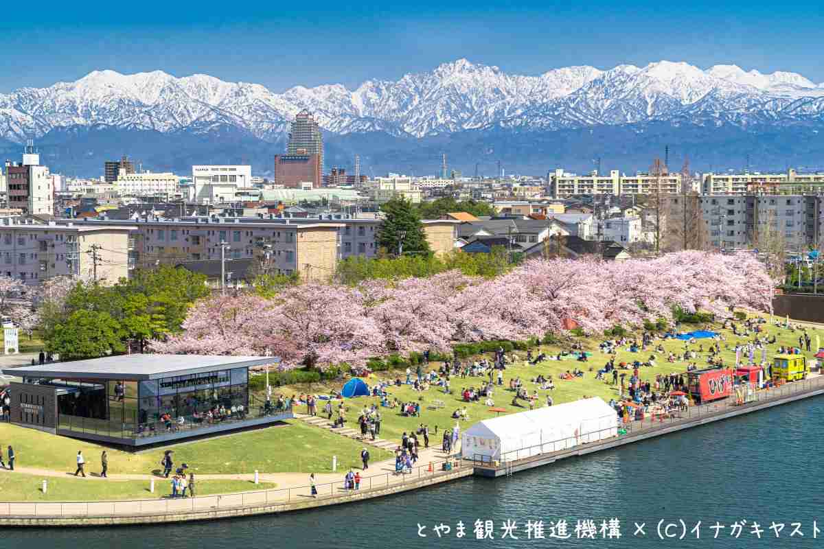 春っぽい画像を貼って春を待つ