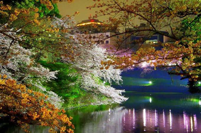 春っぽい画像を貼って春を待つ