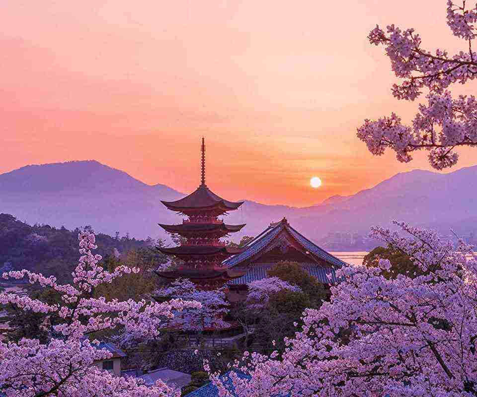 春っぽい画像を貼って春を待つ