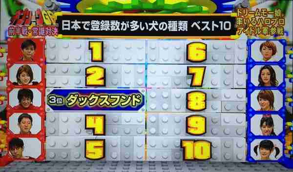 【実況・感想】ネプリーグSP 木村拓哉VS大倉忠義!史上初!ジャニーズ先輩後輩が真剣勝負!