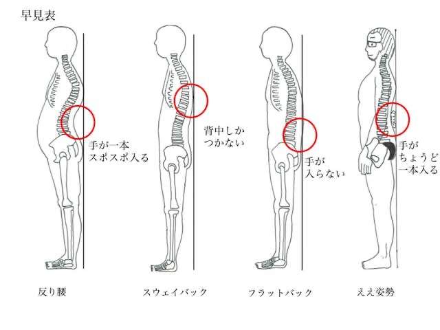 反り腰のひと〜〜