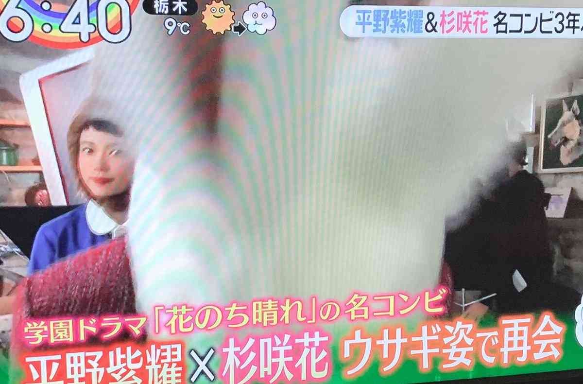 平野紫耀&杉咲花、『花晴れ』以来3年ぶり再タッグ キュートなウサギに変身「緊張して照れちゃいました」