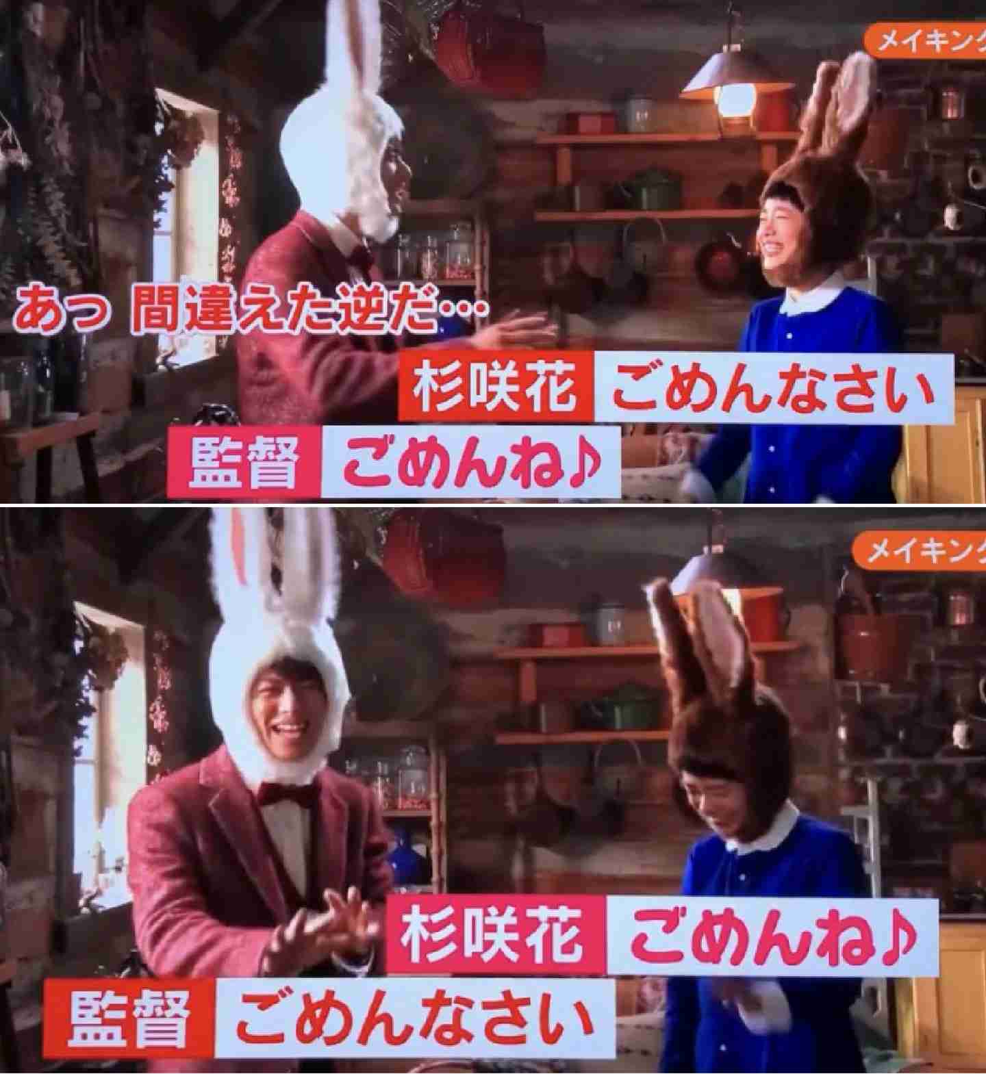 平野紫耀&杉咲花、『花晴れ』以来3年ぶり再タッグ キュートなウサギに変身「緊張して照れちゃいました」